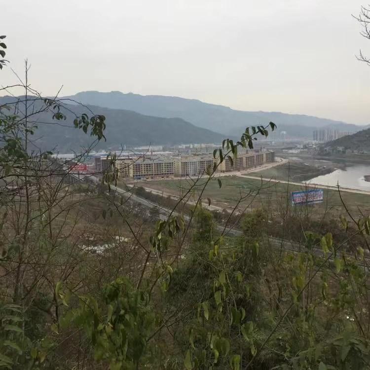 愿你心似我心