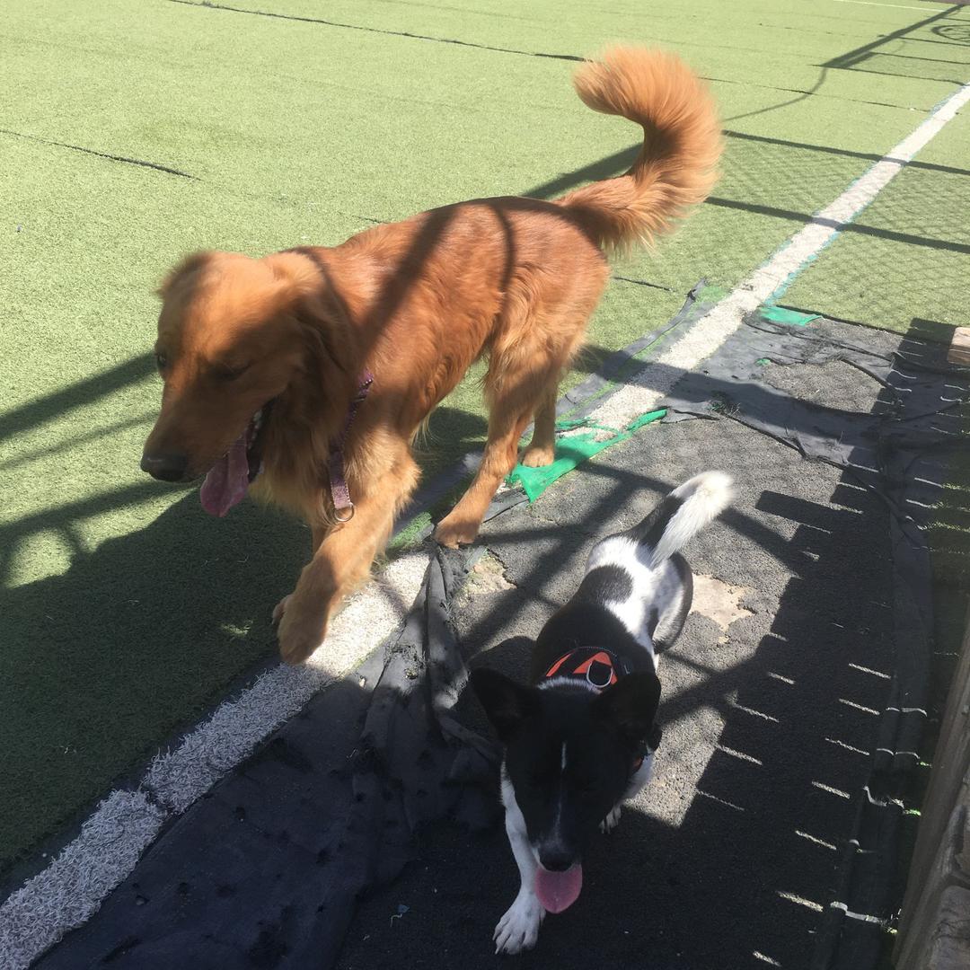 领先史密王亚楠