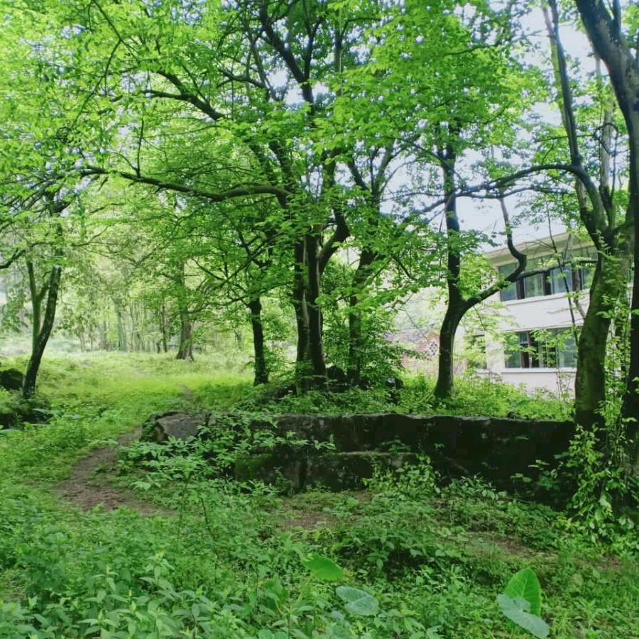 a一张白纸