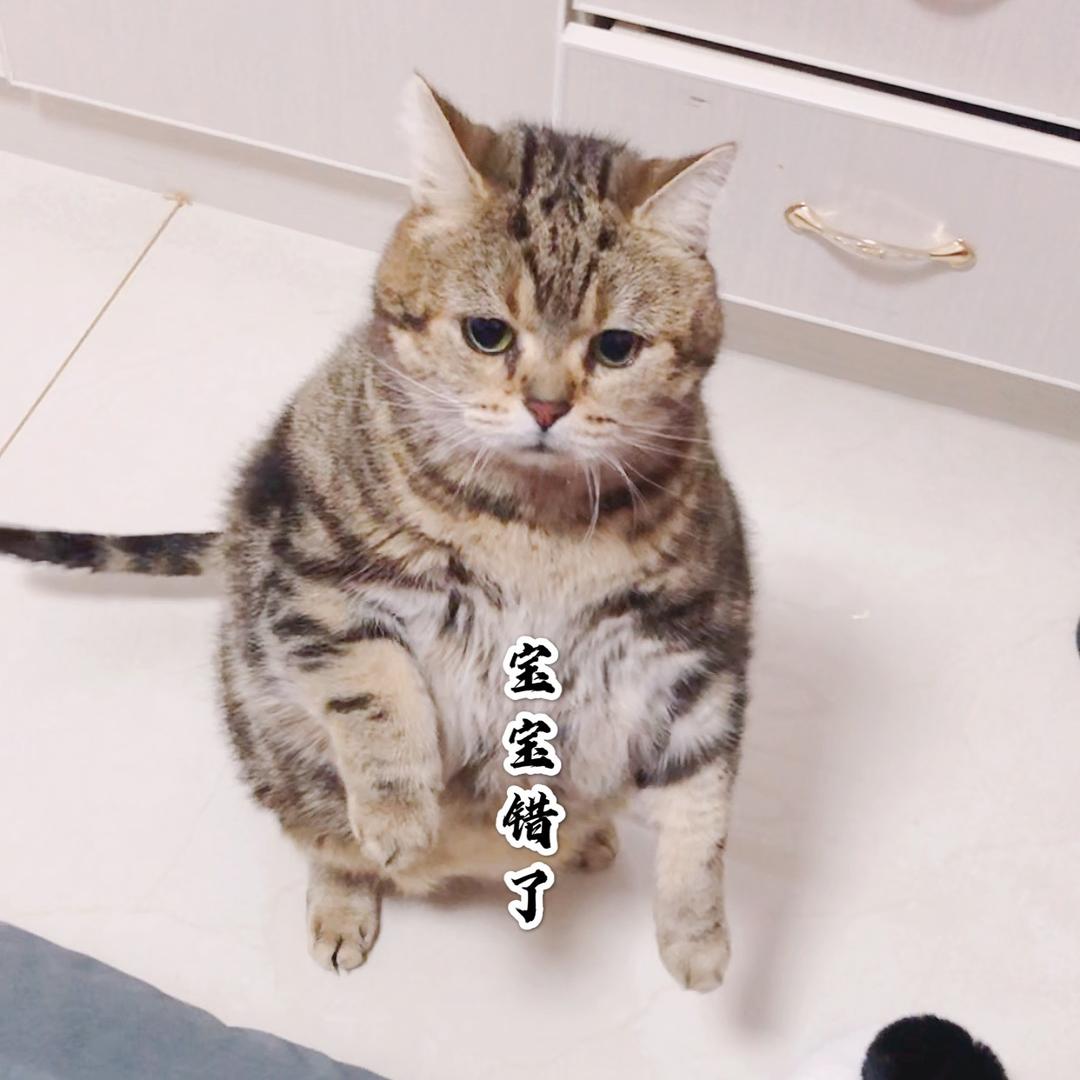 桑尼