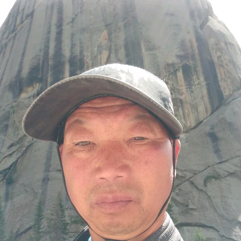 张哥，爱你们
