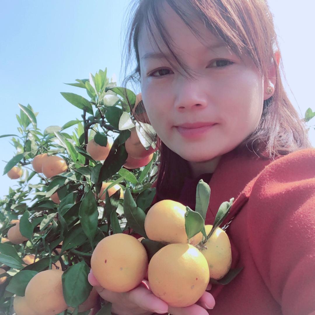 落叶纷飞
