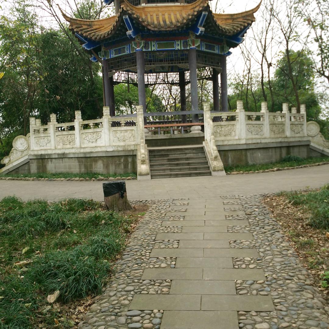 阳阳
