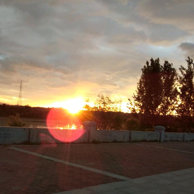 锦绣中华军中绿花