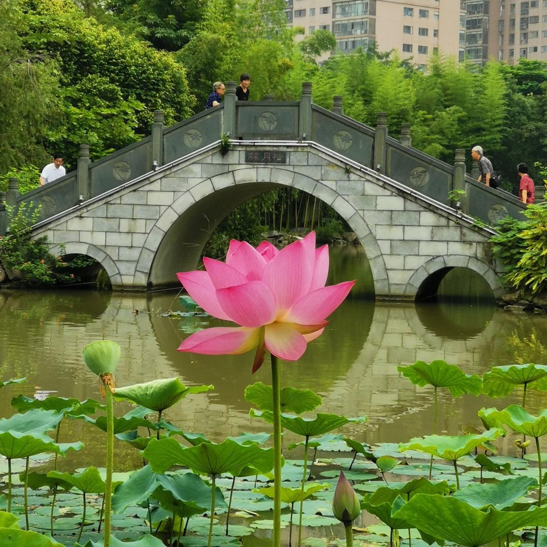 路云