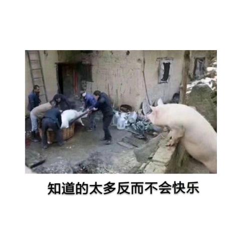 在这年纪 l