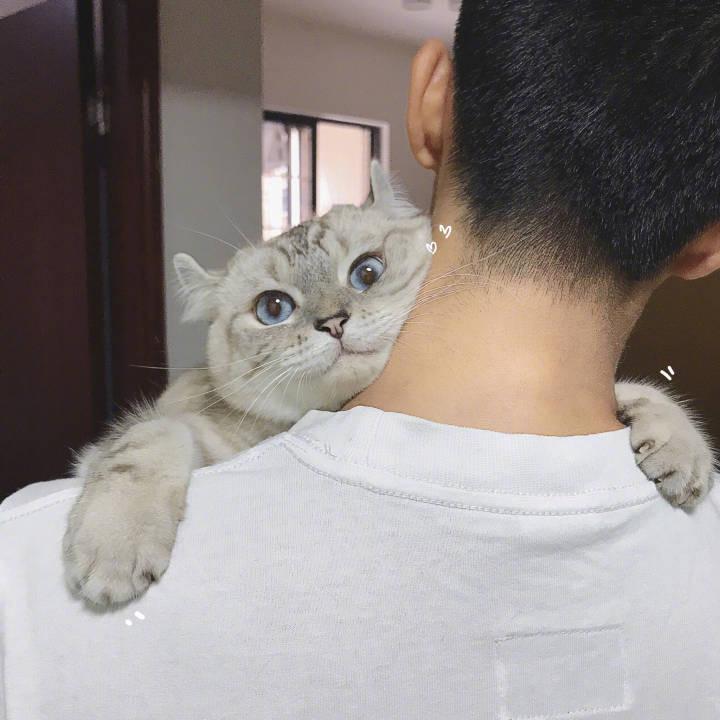 买下陕西