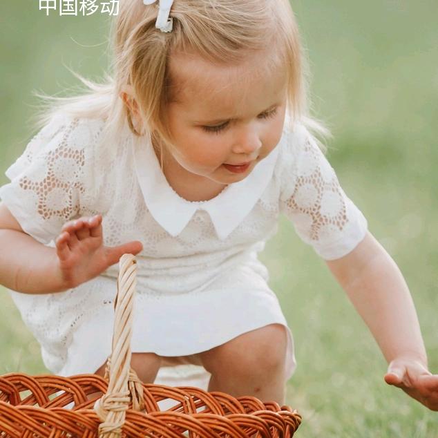 小蝴蝶