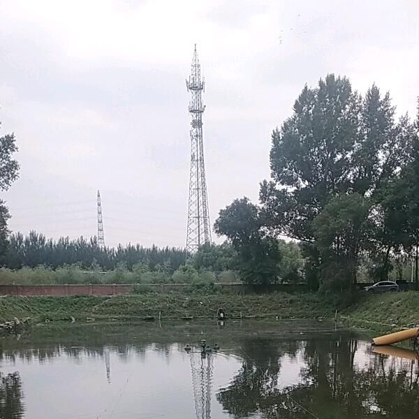 真心真意对待你