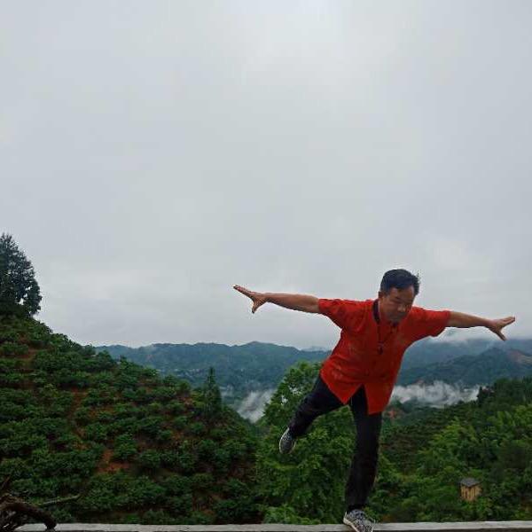 青山飞哥