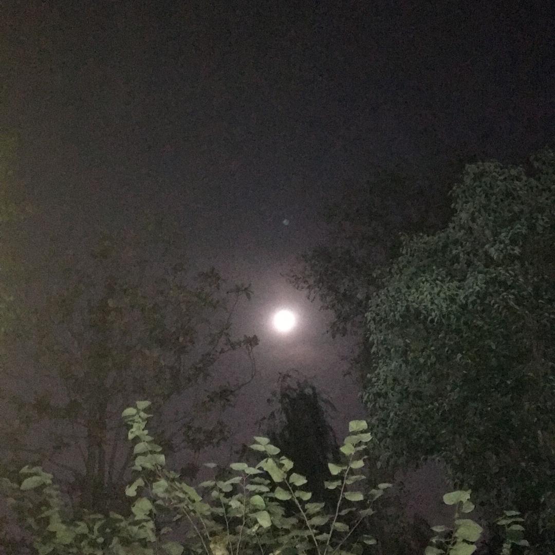 尘埃