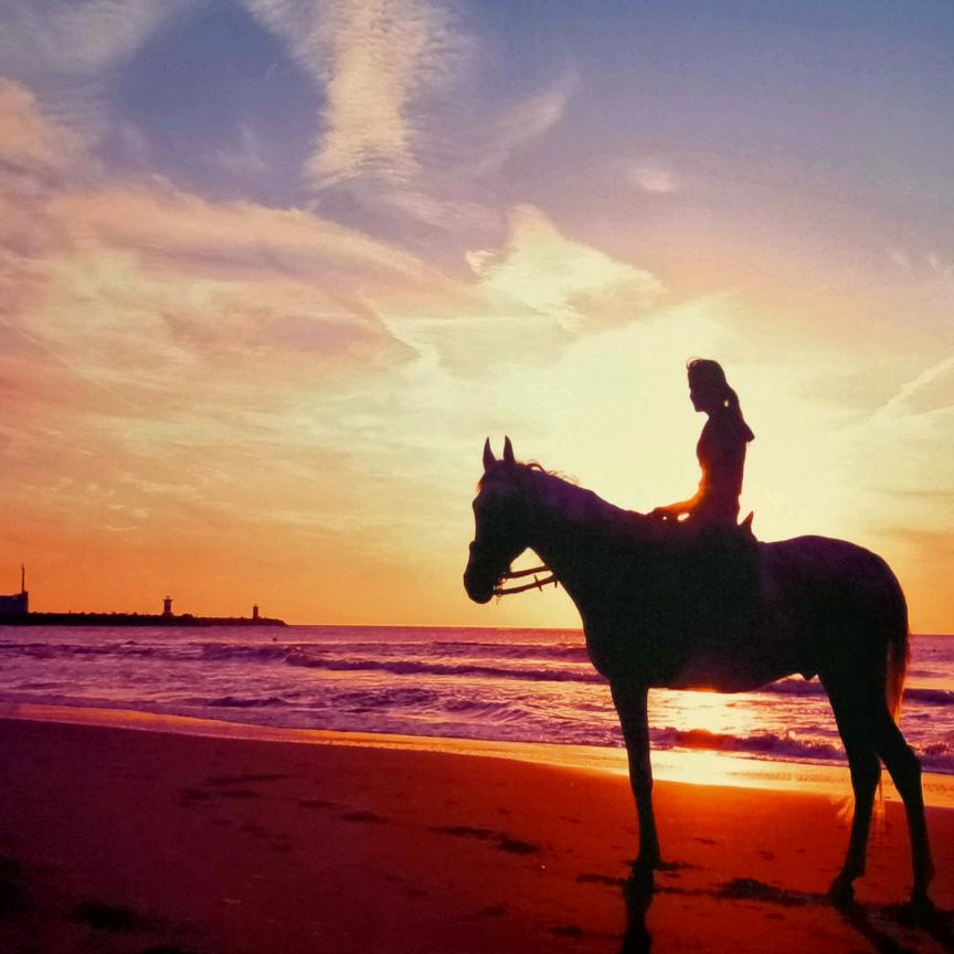 沈老师升学规划