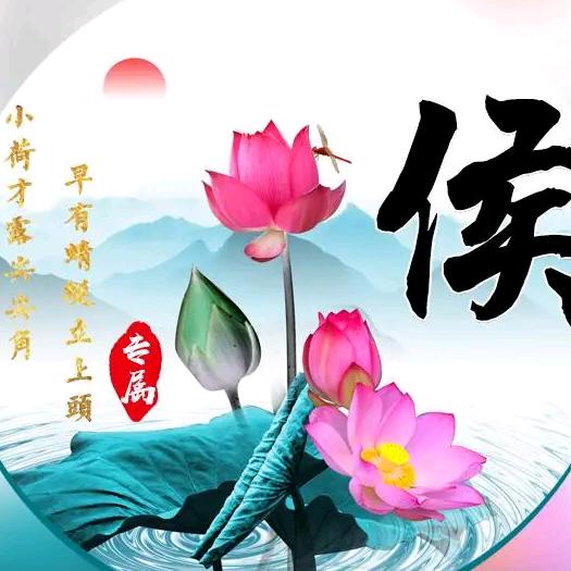 老来乐