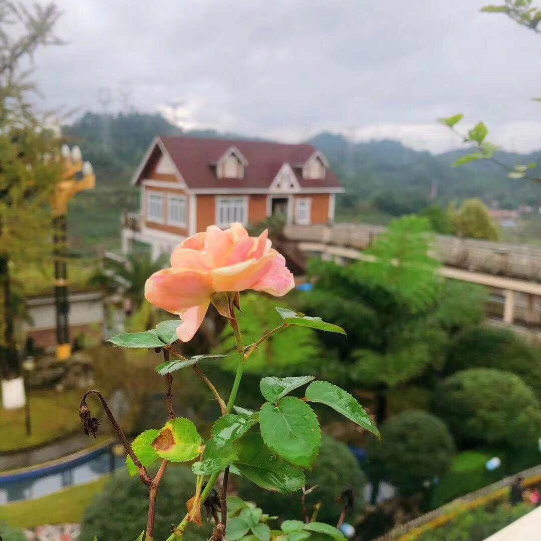 乐山市沙湾区叠翠坪酒店有限公司