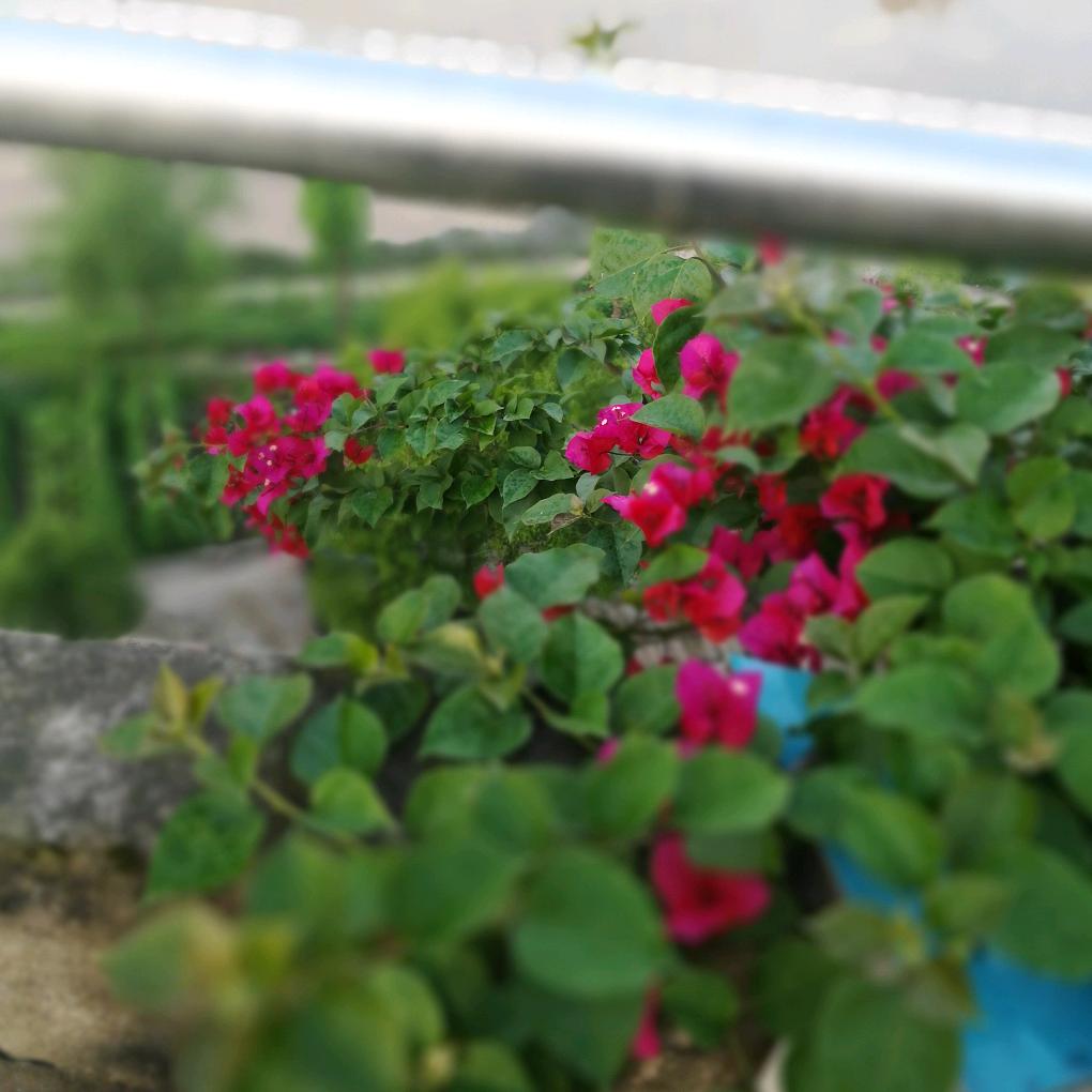 顺辉瓷砖权