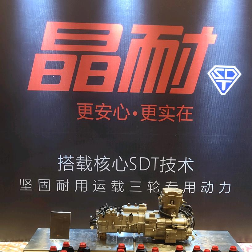 隆鑫巨农三轮摩托发动机