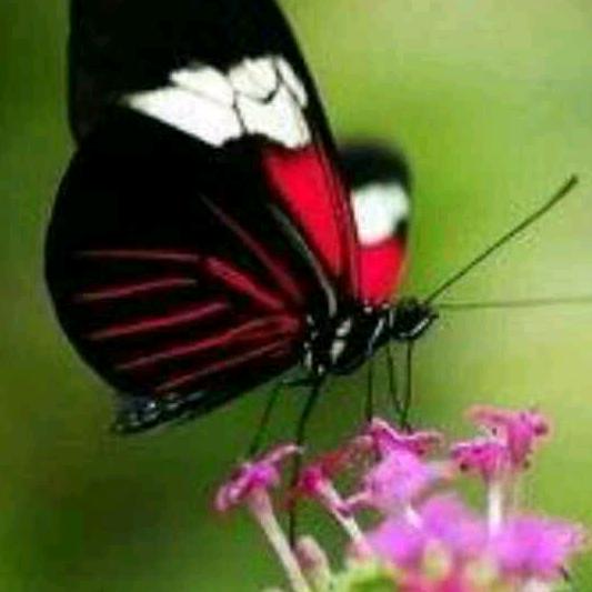 阳光明媚☀️☀️