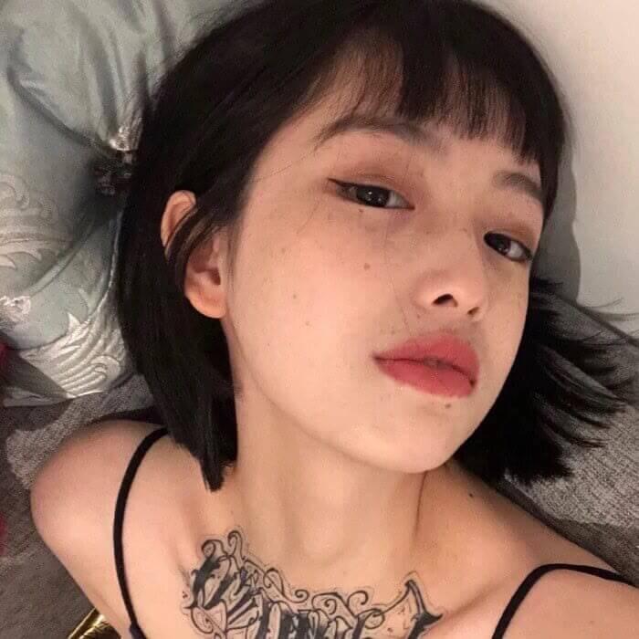 椰奶小羔羊