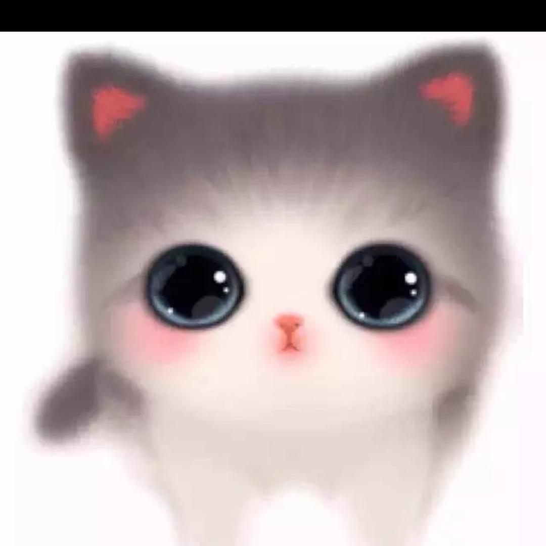 小牛包