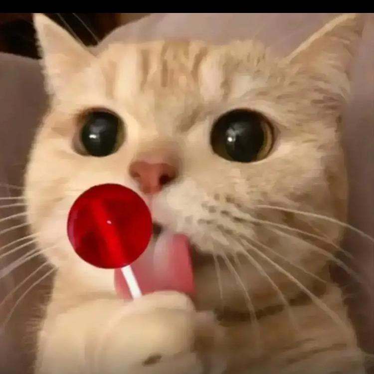 🌈jijiguowang🌈🌈🌈