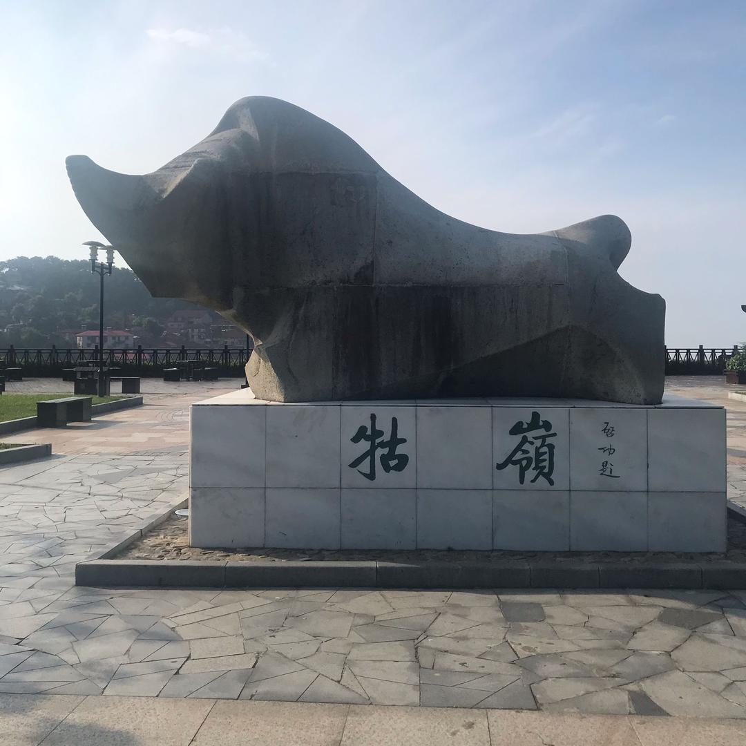 涛哥