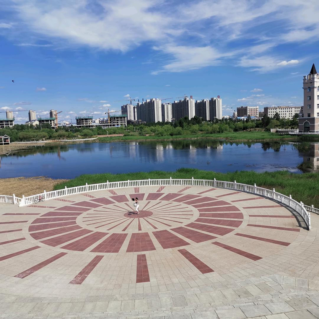 绿树