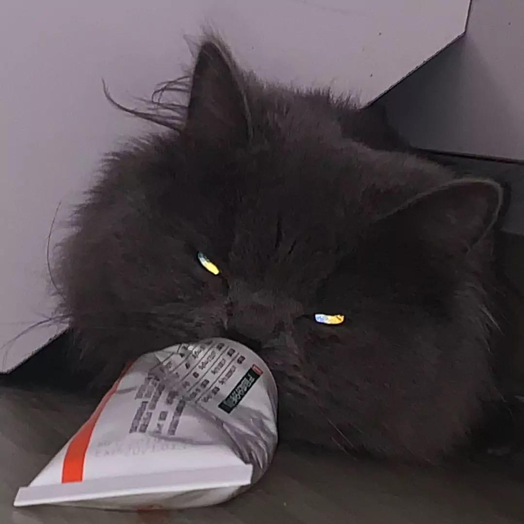 小小小小小卢