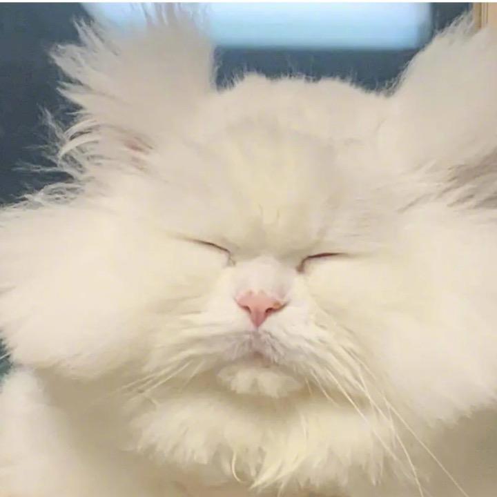 陈茶几