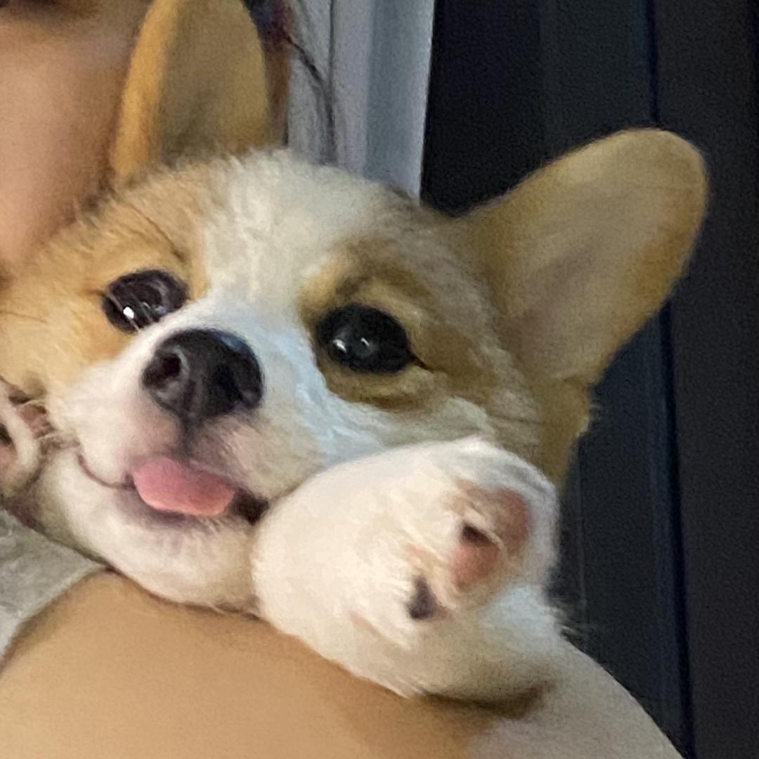 kiki的快乐星球