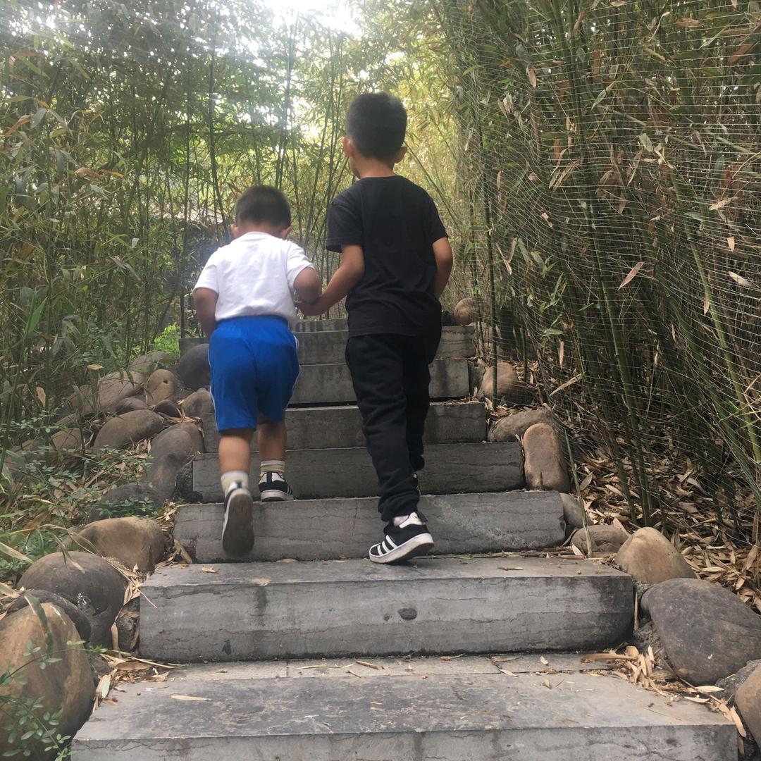 贾妮儿