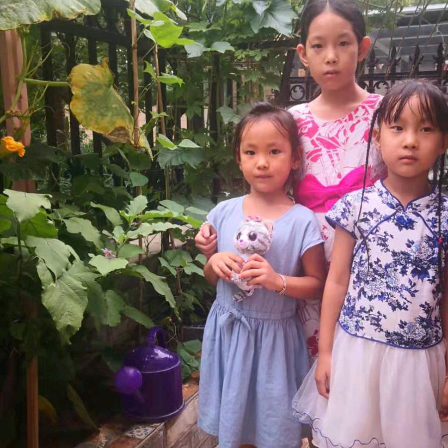 💘🐯问禅🐉💛