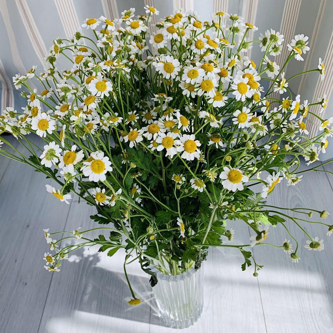 不想做阿姨的小姐姐