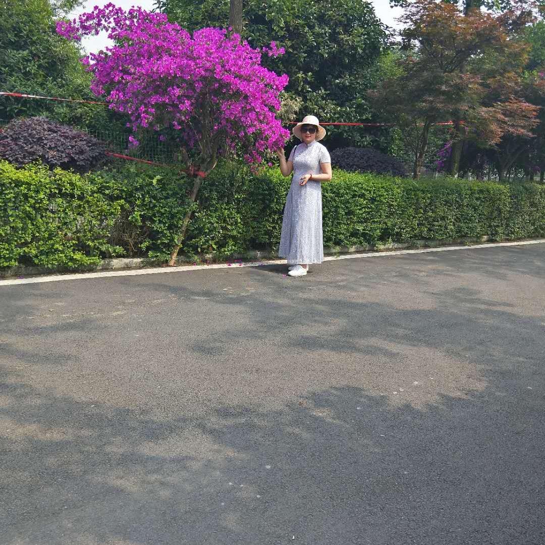 康乃馨