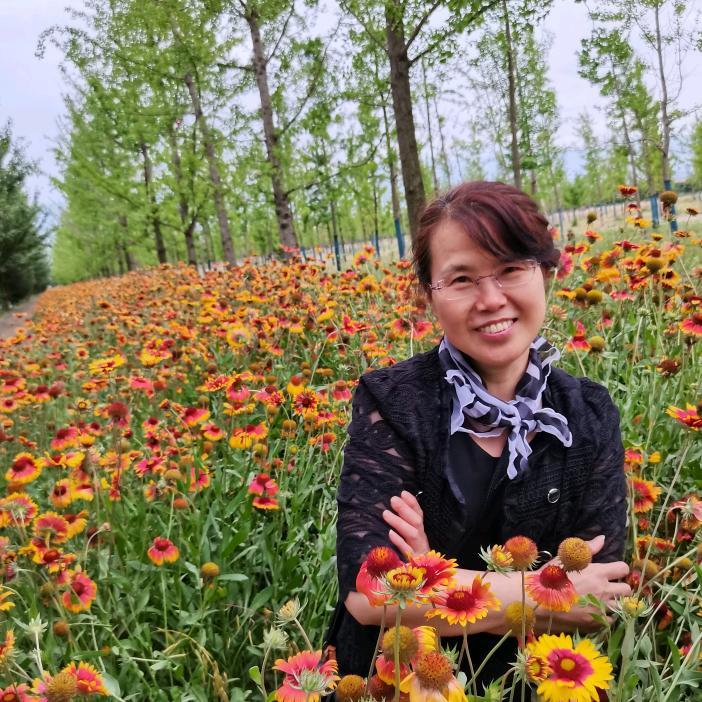 开心小苹果