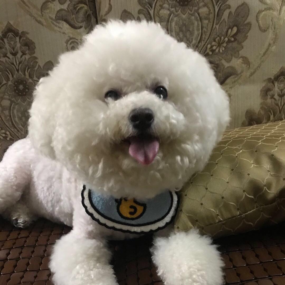 toy