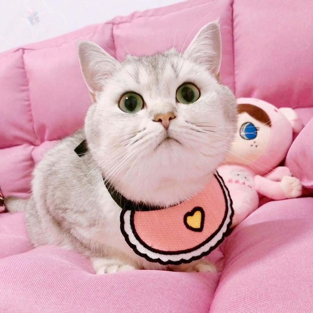 七宝小圆子@抖音