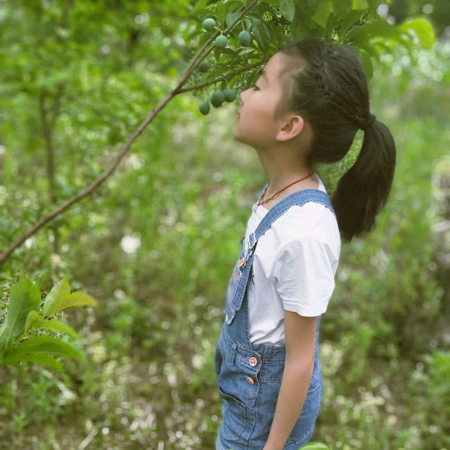 心如止水（拒绝私聊合拍）