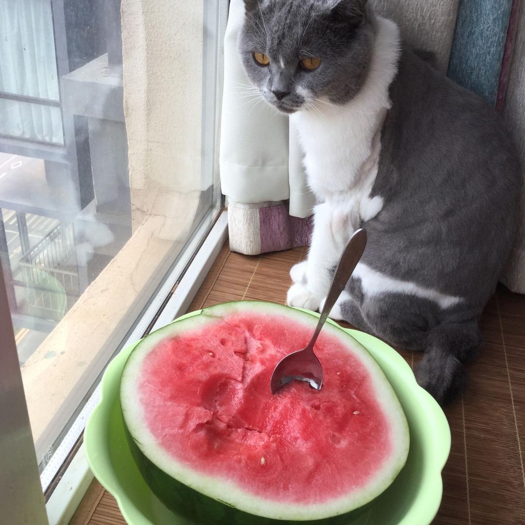 扶老太太闯红灯