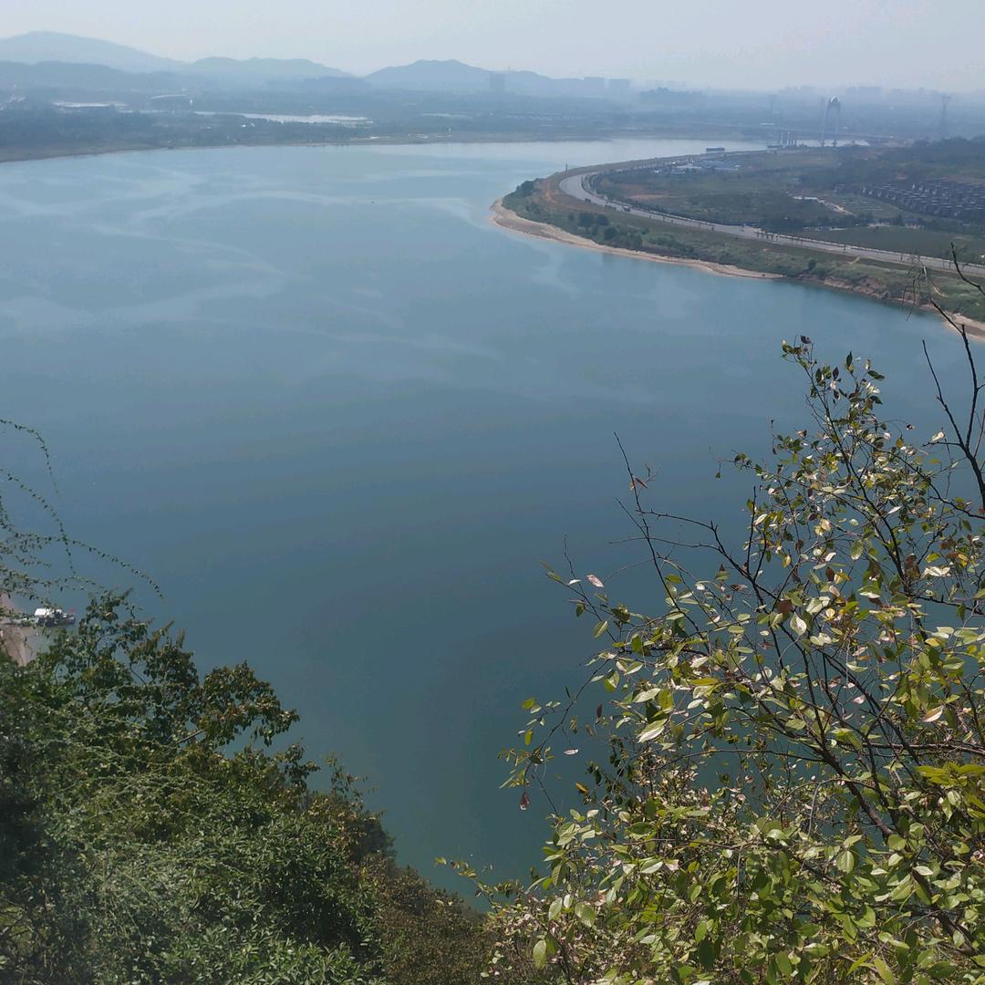 孤雁弹簧