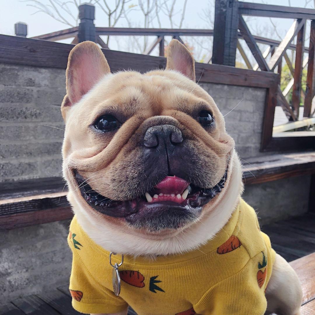 牛宝哈奇💋