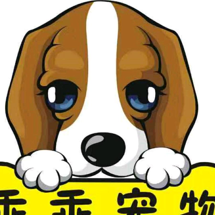 伊伊大宝
