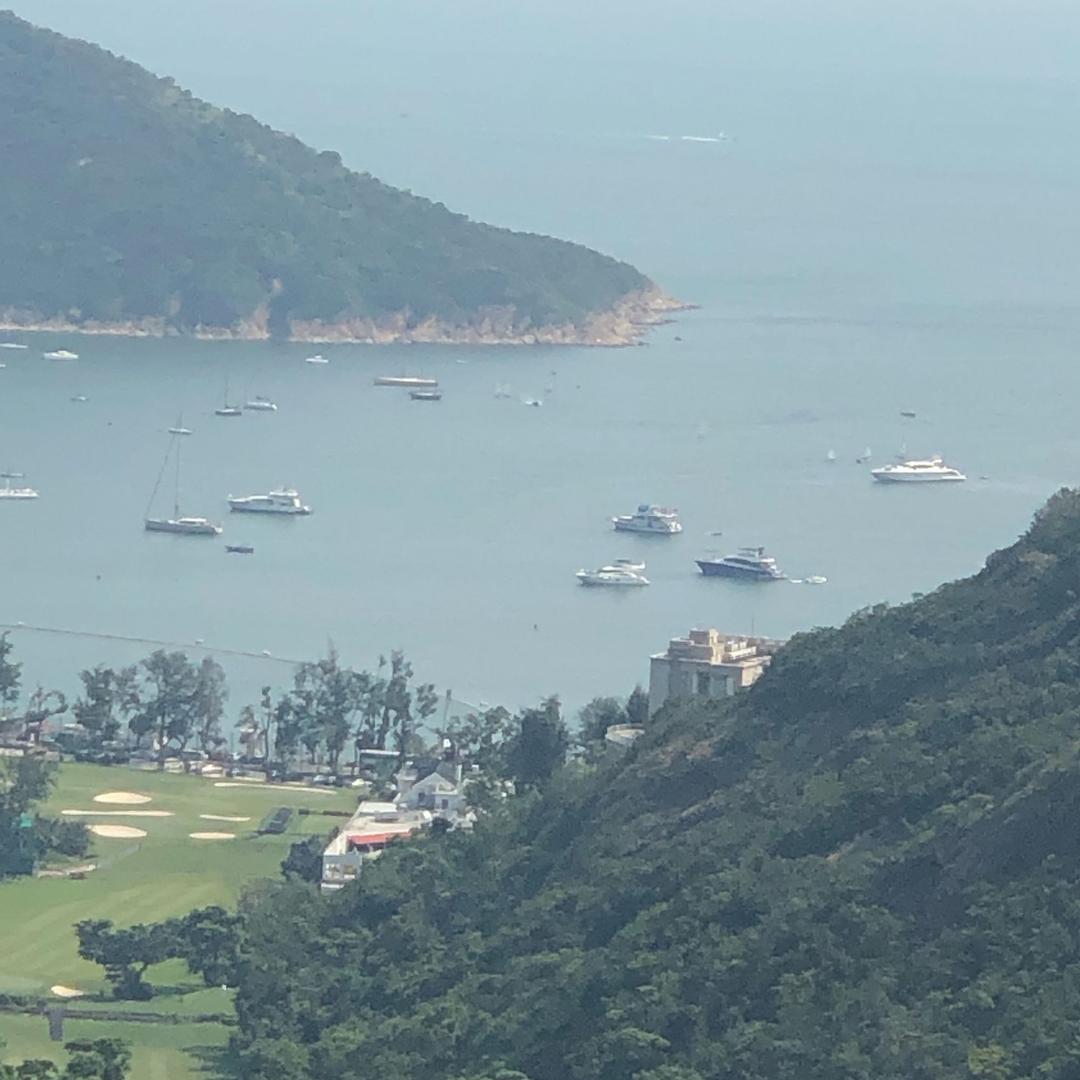 我行我素