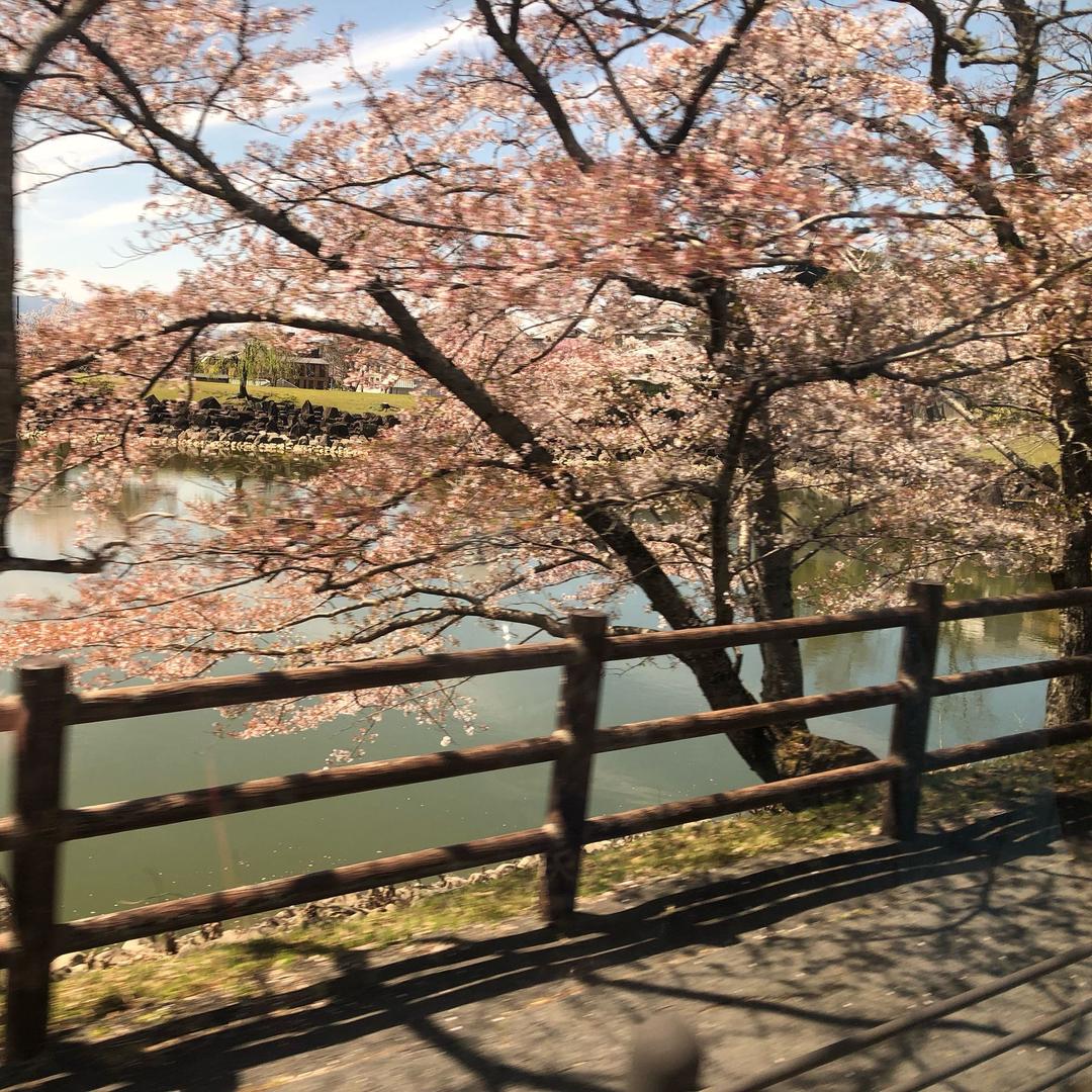 大大大大牙
