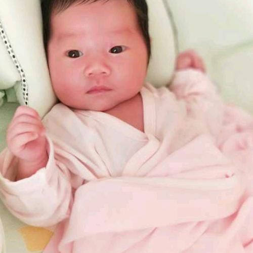 花木兰