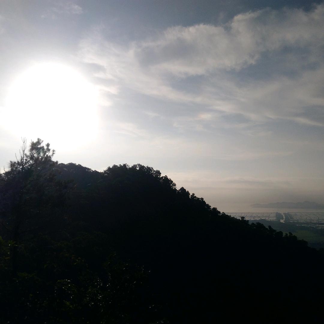 阳仔