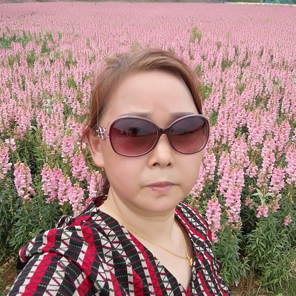 郑阿姨