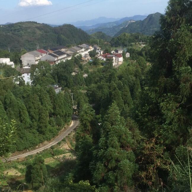 自重🧜🏻‍♂️👈🏿👈🏿