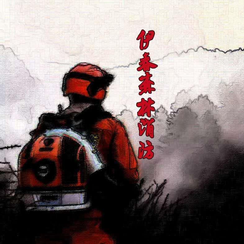伊春市森林消防