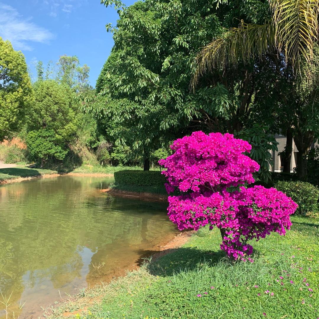 偶尔还会想起你