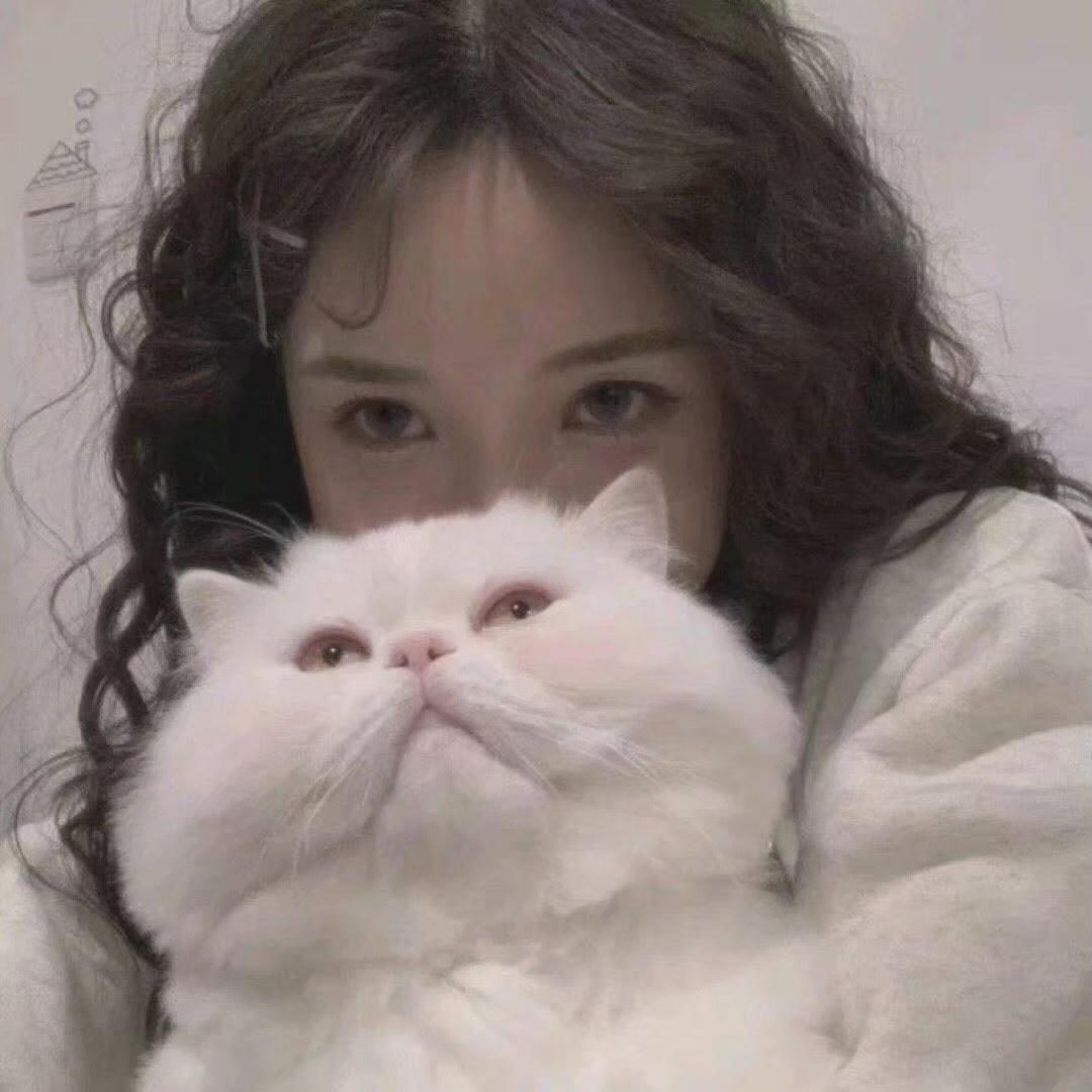张星星✨